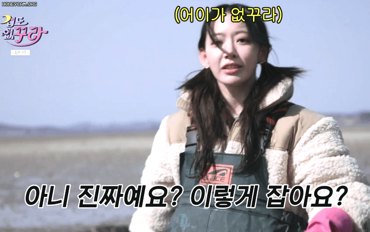 짤티비