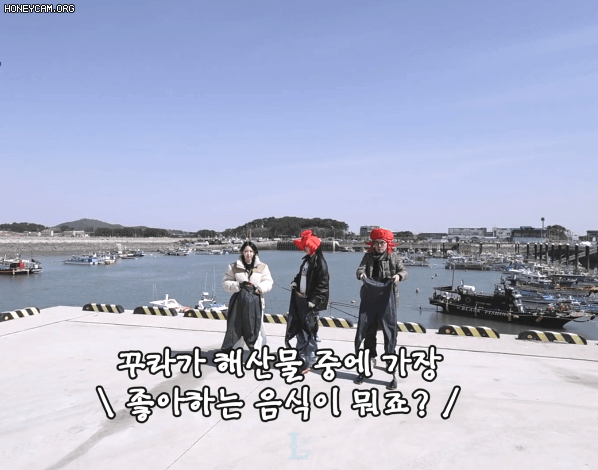 짤티비