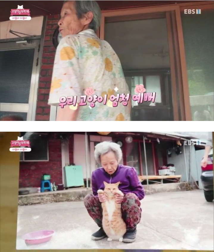  - 꾸르