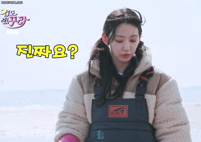 짤티비