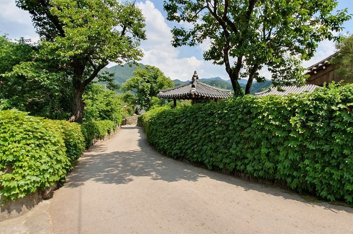 최근 관광지로 괜찮은 반응이 나오고 있다는 곳 - 꾸르