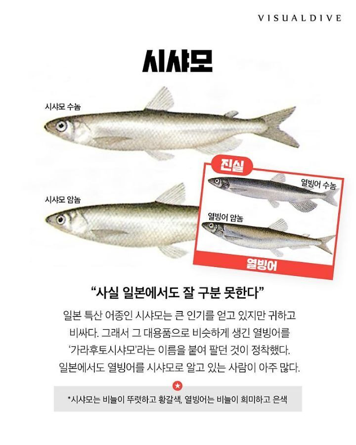  - 꾸르