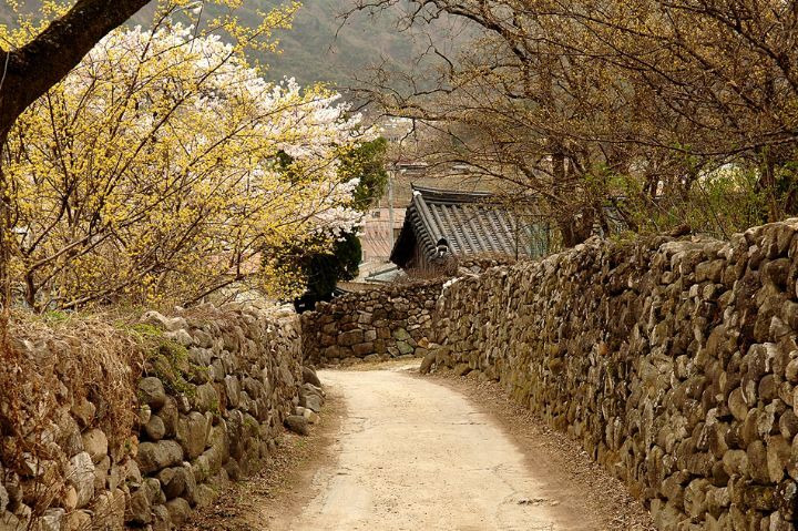 최근 관광지로 괜찮은 반응이 나오고 있다는 곳 - 꾸르