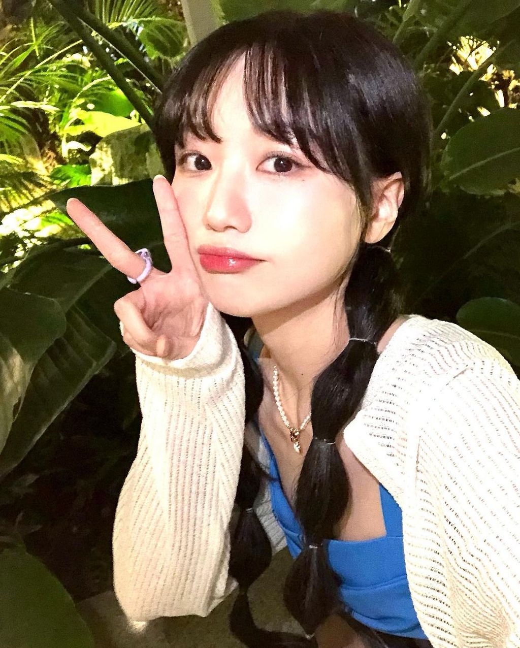 짤티비