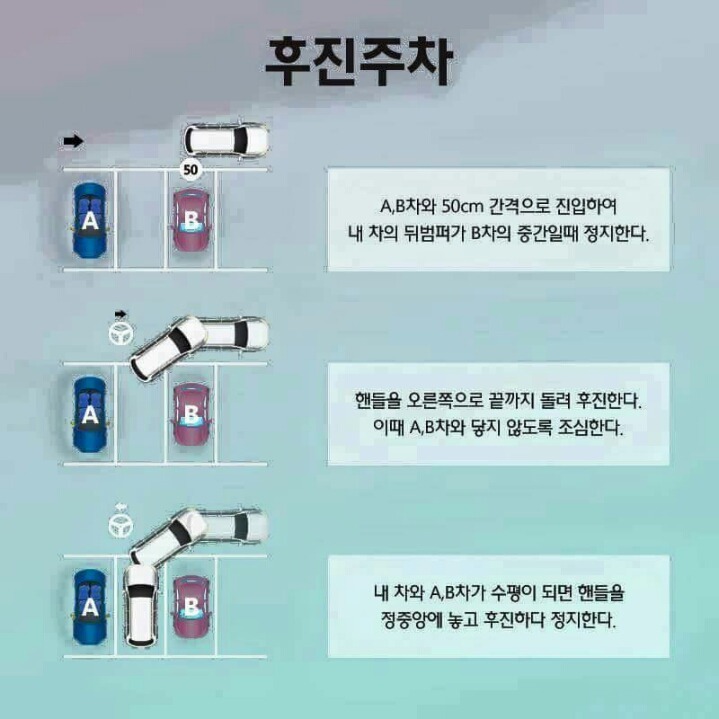 초보 주차팁