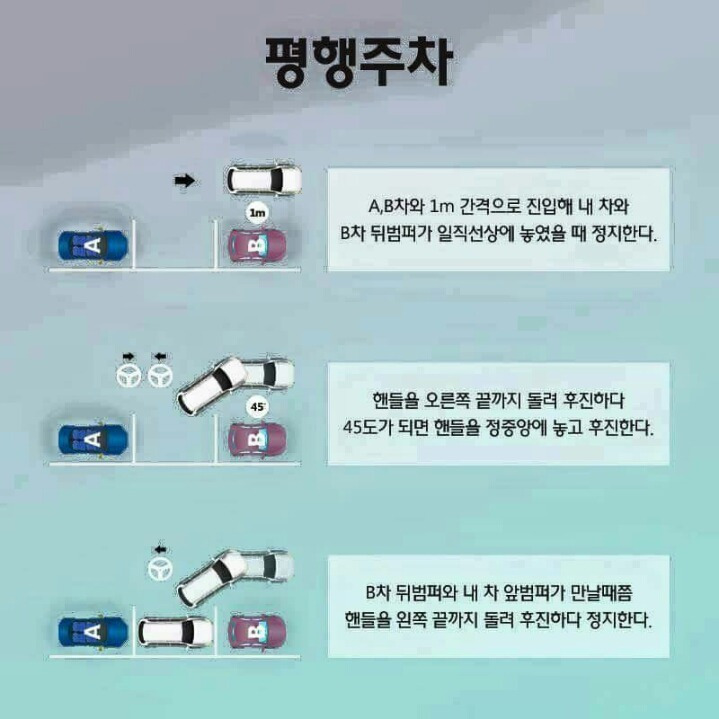 초보 주차팁