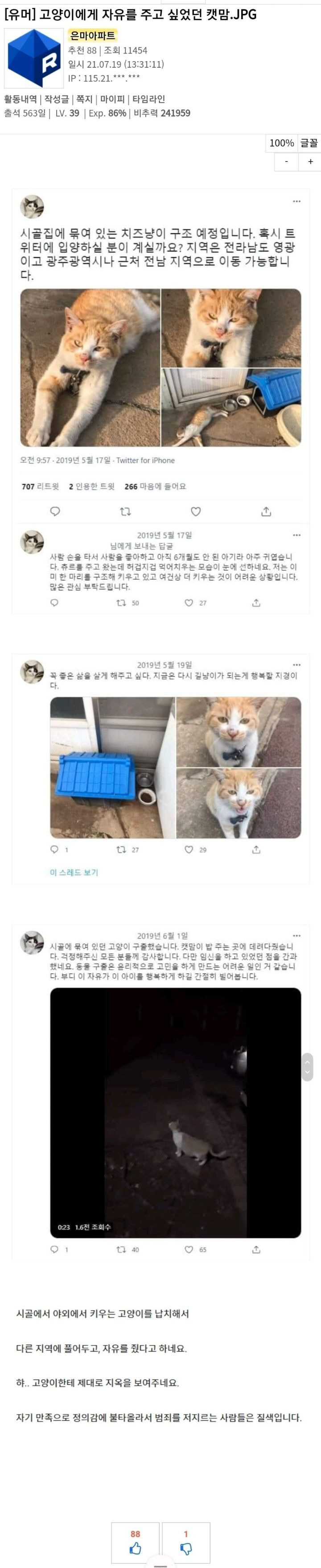 남의집 고양이에게 자유를 주고싶어 훔친 켓맘 - 짤티비