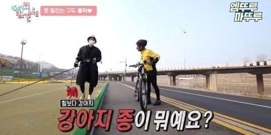  - 꾸르