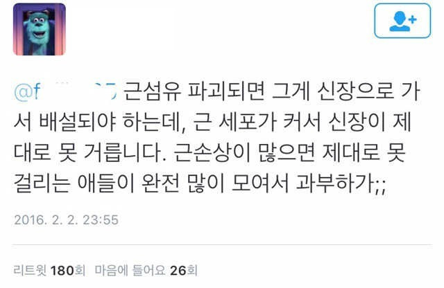 운동 시작하는 분들이 조심해야 하는 이유 - 꾸르