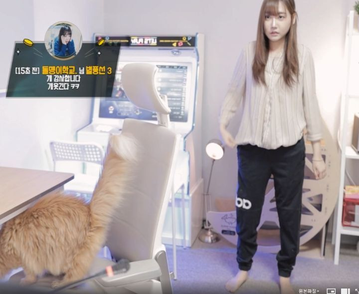 패션고자 아프리카 여BJ - 꾸르