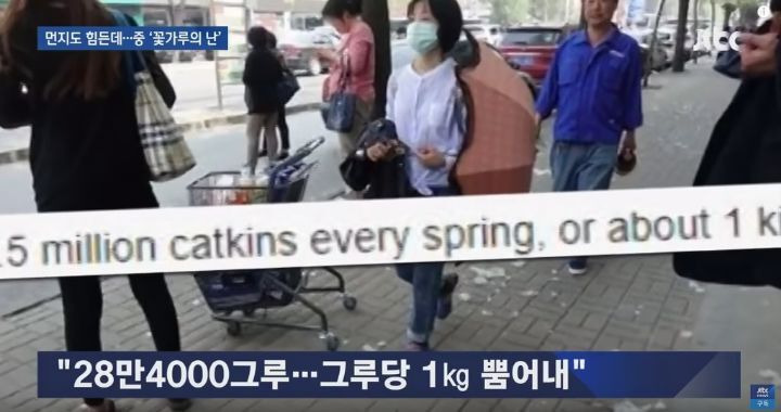  - 꾸르