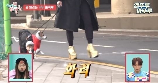  - 꾸르