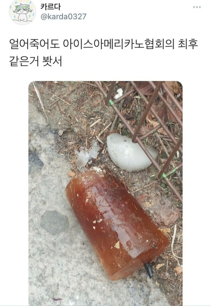 얼죽아의 최후 - 꾸르