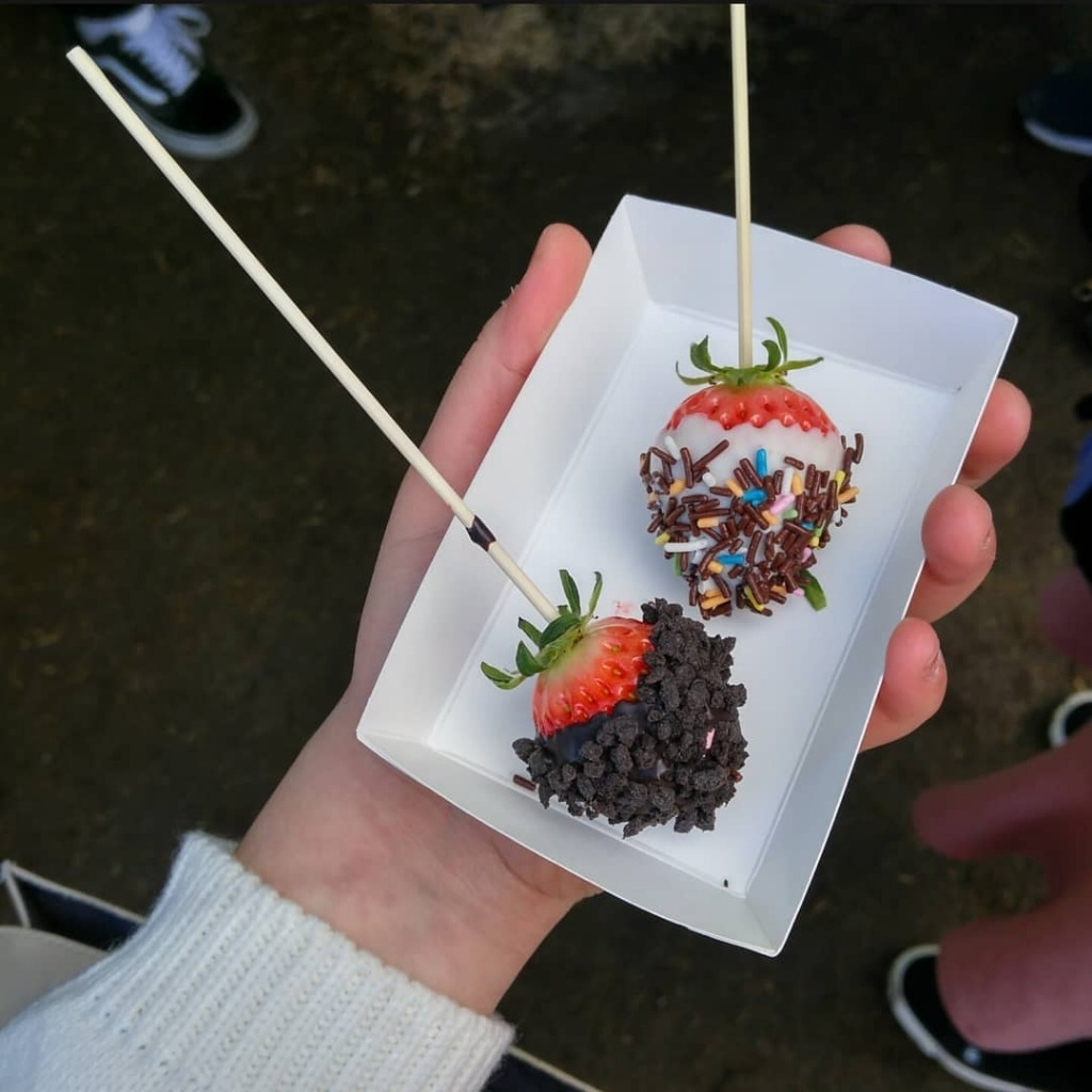 코로나 때문에 취소됐다는 논산 딸기 축제 - 꾸르