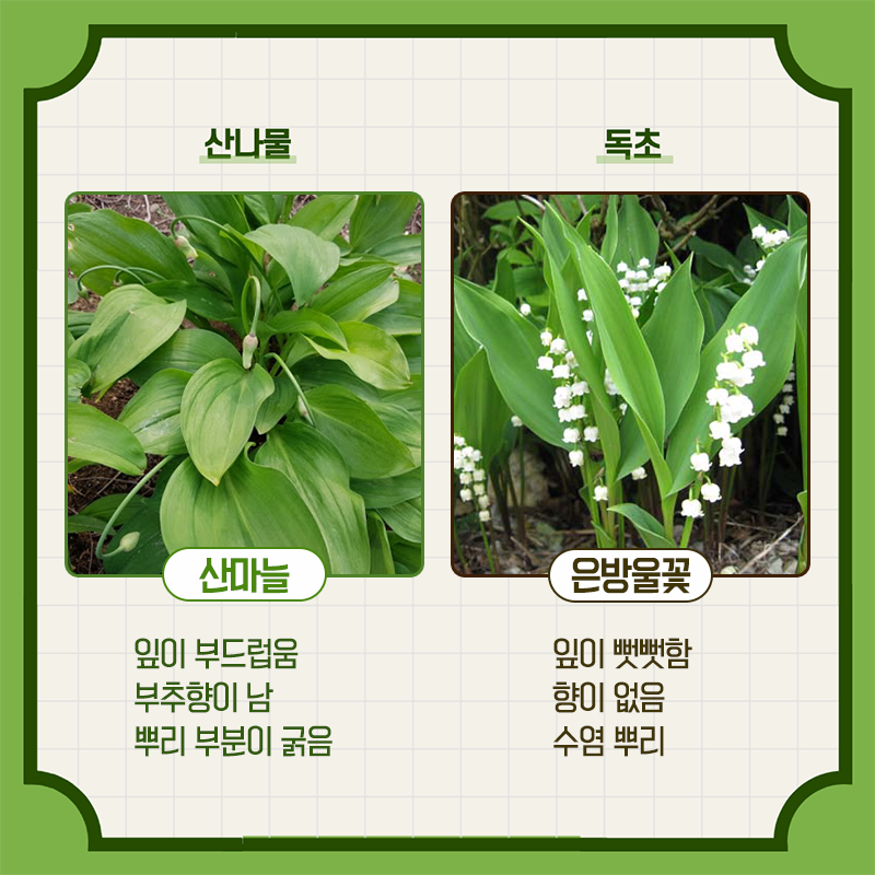  - 꾸르