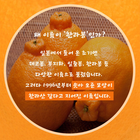  - 꾸르
