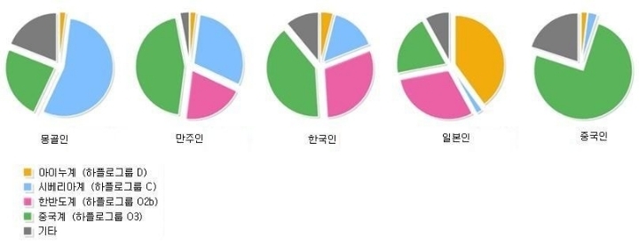 DNA 검사로 밝혀진 한국인들이 유전적으로 가장 가까운 민족 - x86.co.kr