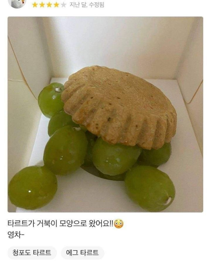 긍적적인 사람들 리뷰 - 짤티비