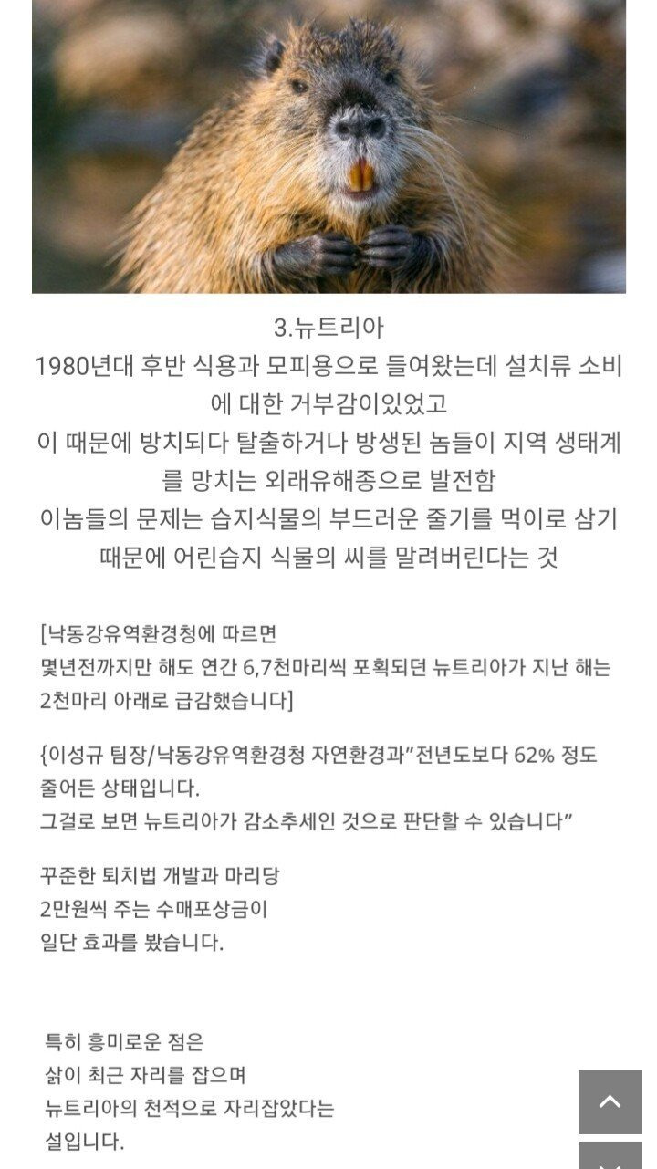  - 꾸르