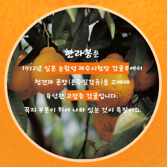  - 꾸르