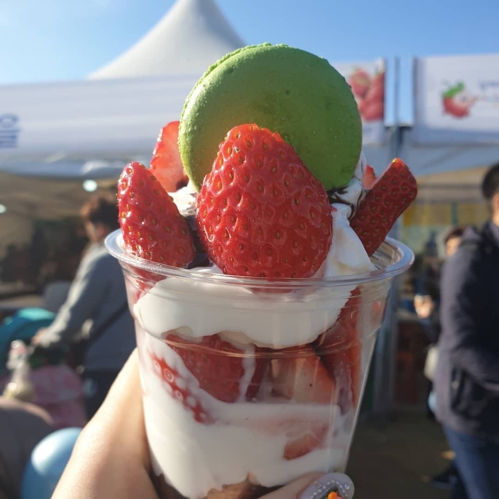 코로나 때문에 취소됐다는 논산 딸기 축제 - 꾸르