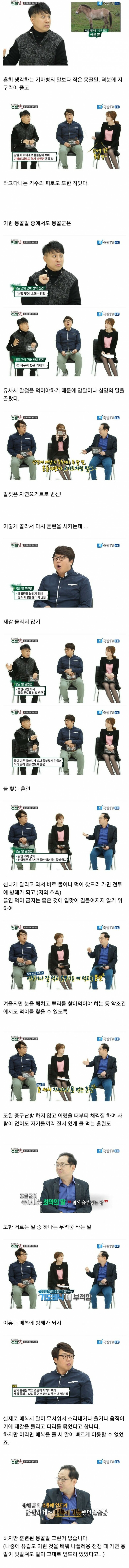 징기스칸이 정복왕이 될 수 있었던 이유중 하나 - 꾸르