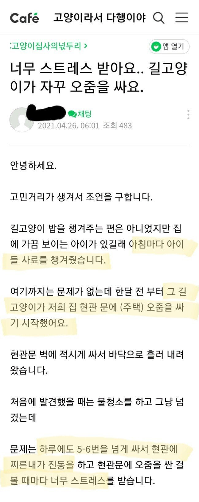 길고양이가 자꾸 오줌을 싸서 너무 스트레스 받아요 - 짤티비