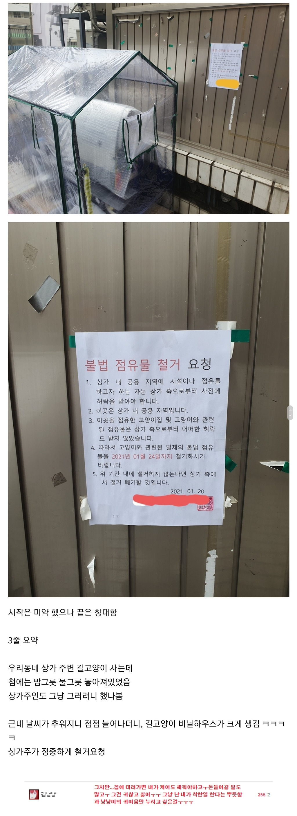 점점 발전하는 캣맘 - 꾸르