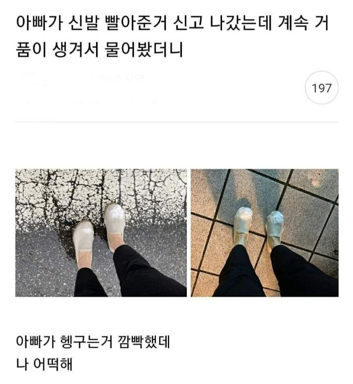 아빠가 신발 빨아준 거 신고 나갔는데 - 짤티비