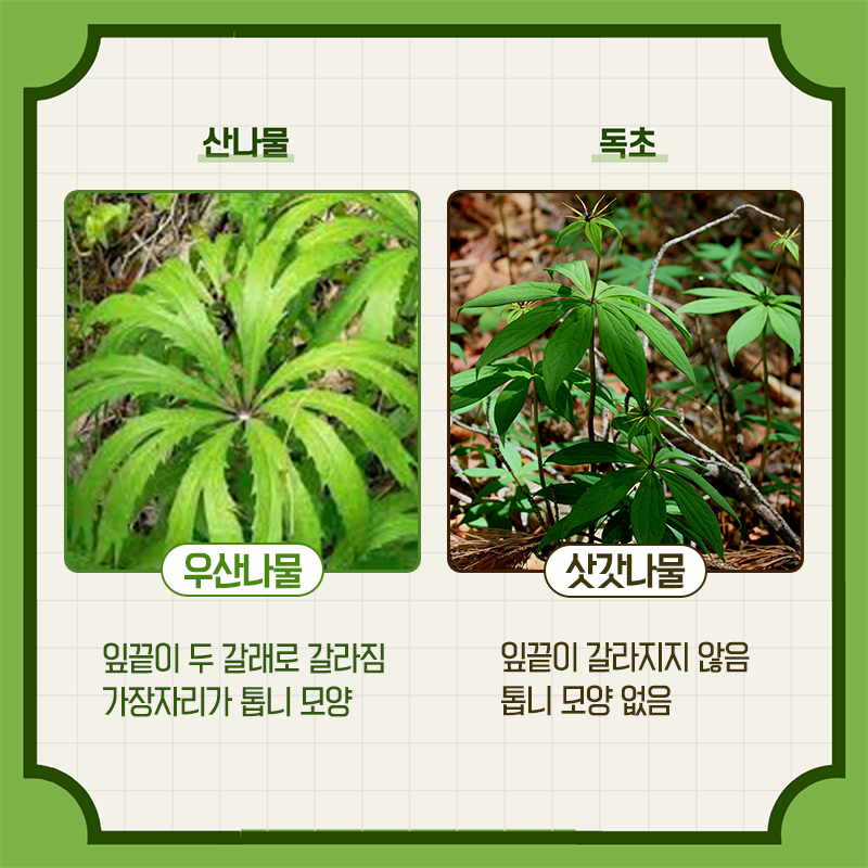  - 꾸르