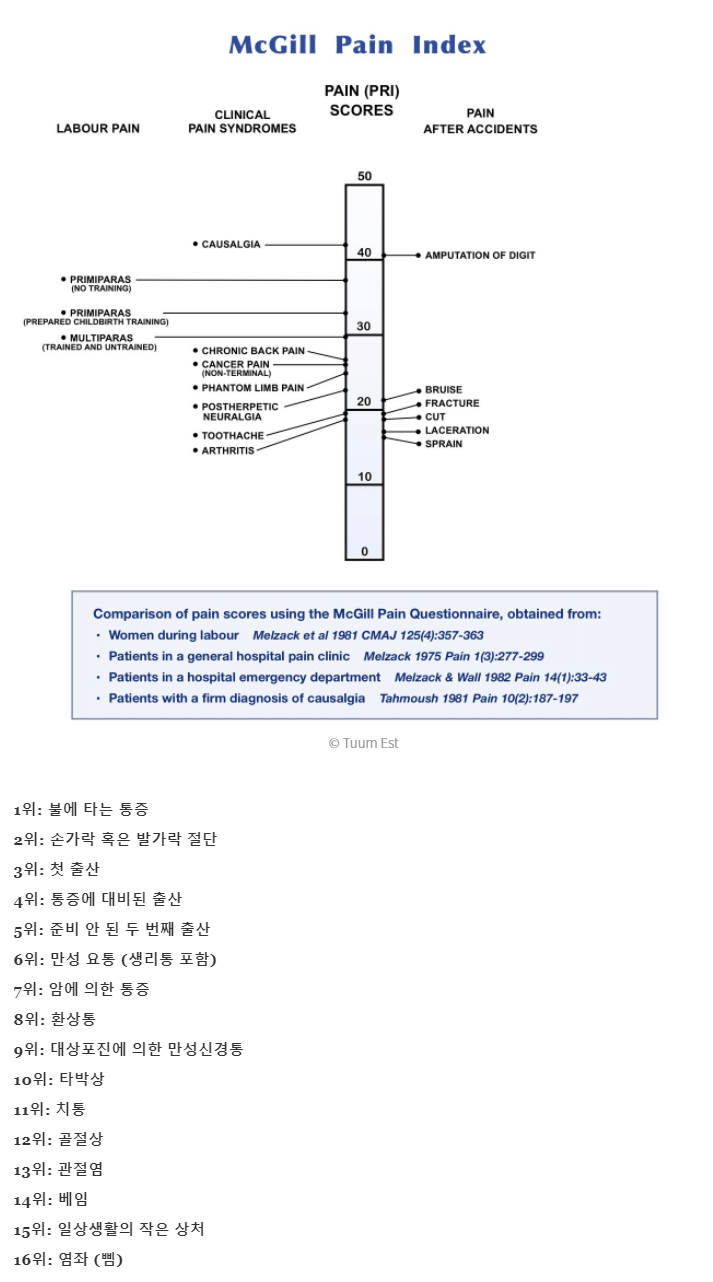 인간이 느끼는 통증 순위 - x86.co.kr