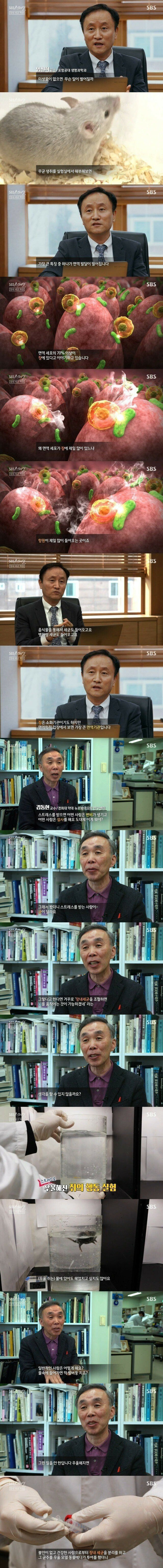 제2의 뇌라고 하는 신체 부위 - 꾸르