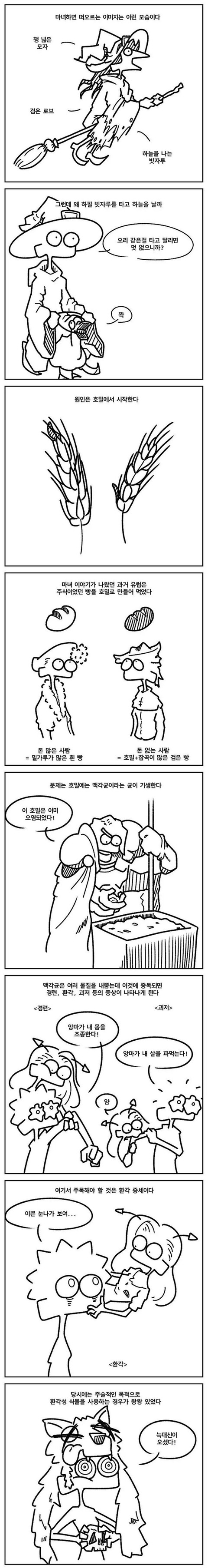 마녀가 빗자루를 타고 다니게 된 이유를 알려주는.manwha - 짤티비