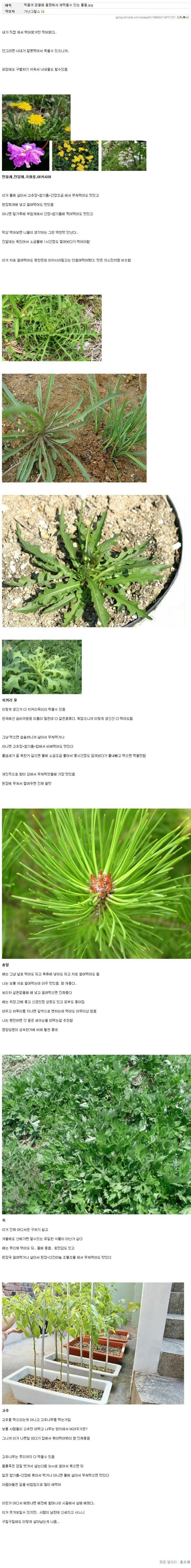 흙수저 코스프레가 아닌 진짜 흙수저인 사람의 생존법 - 꾸르