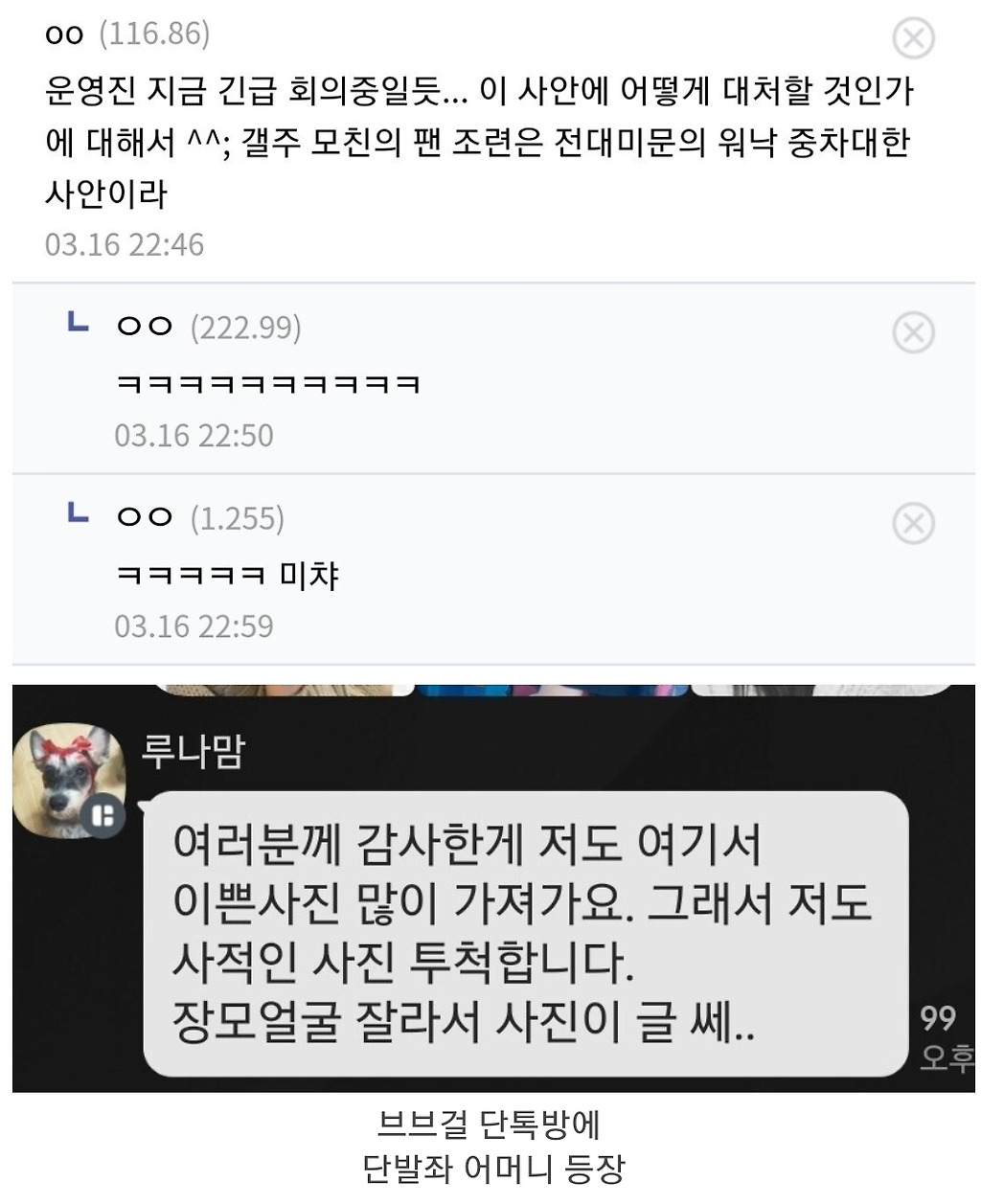 브레이브걸스갤에 단발좌 과거사진 올리는 사람 - 꾸르