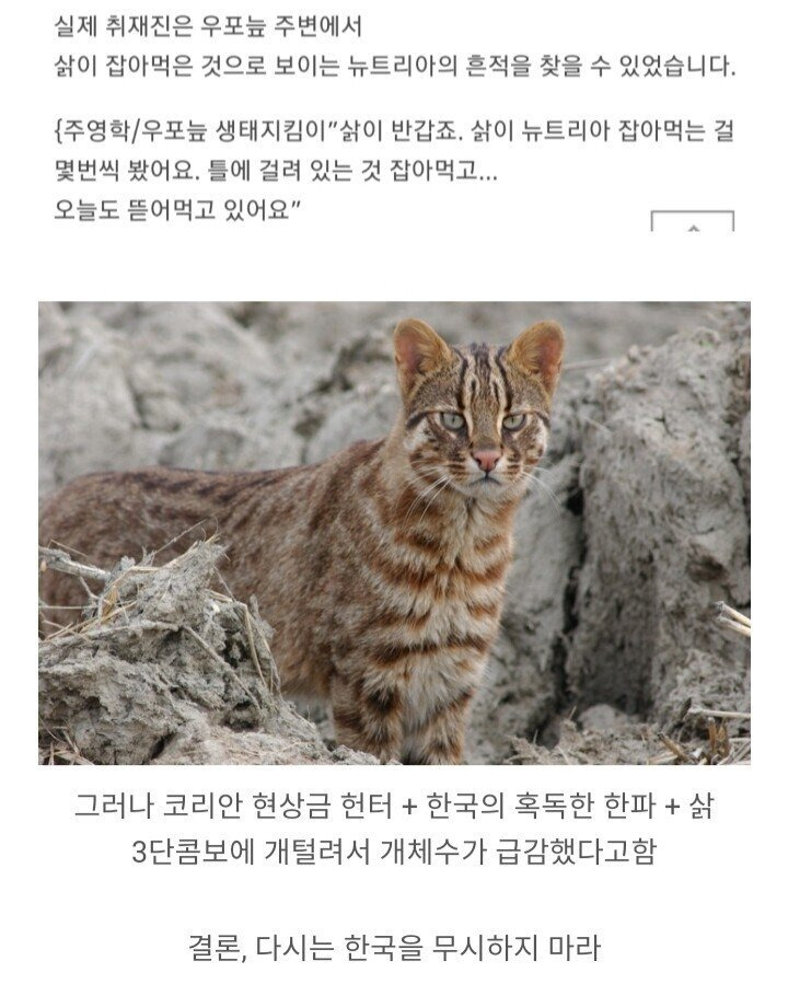  - 꾸르