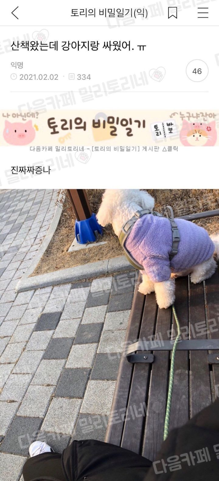   - 꾸르