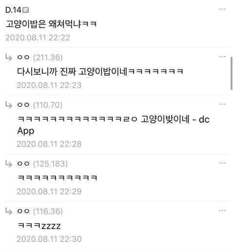 여캠 BJ를 짝사랑하는 고양이 - 꾸르