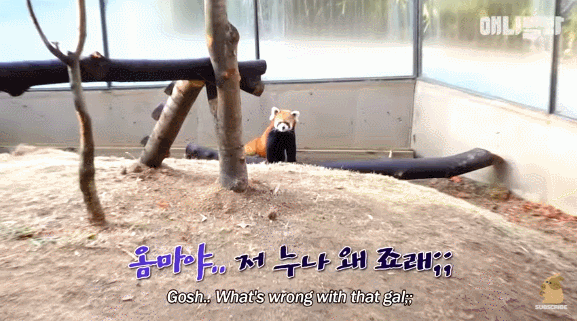  - 꾸르