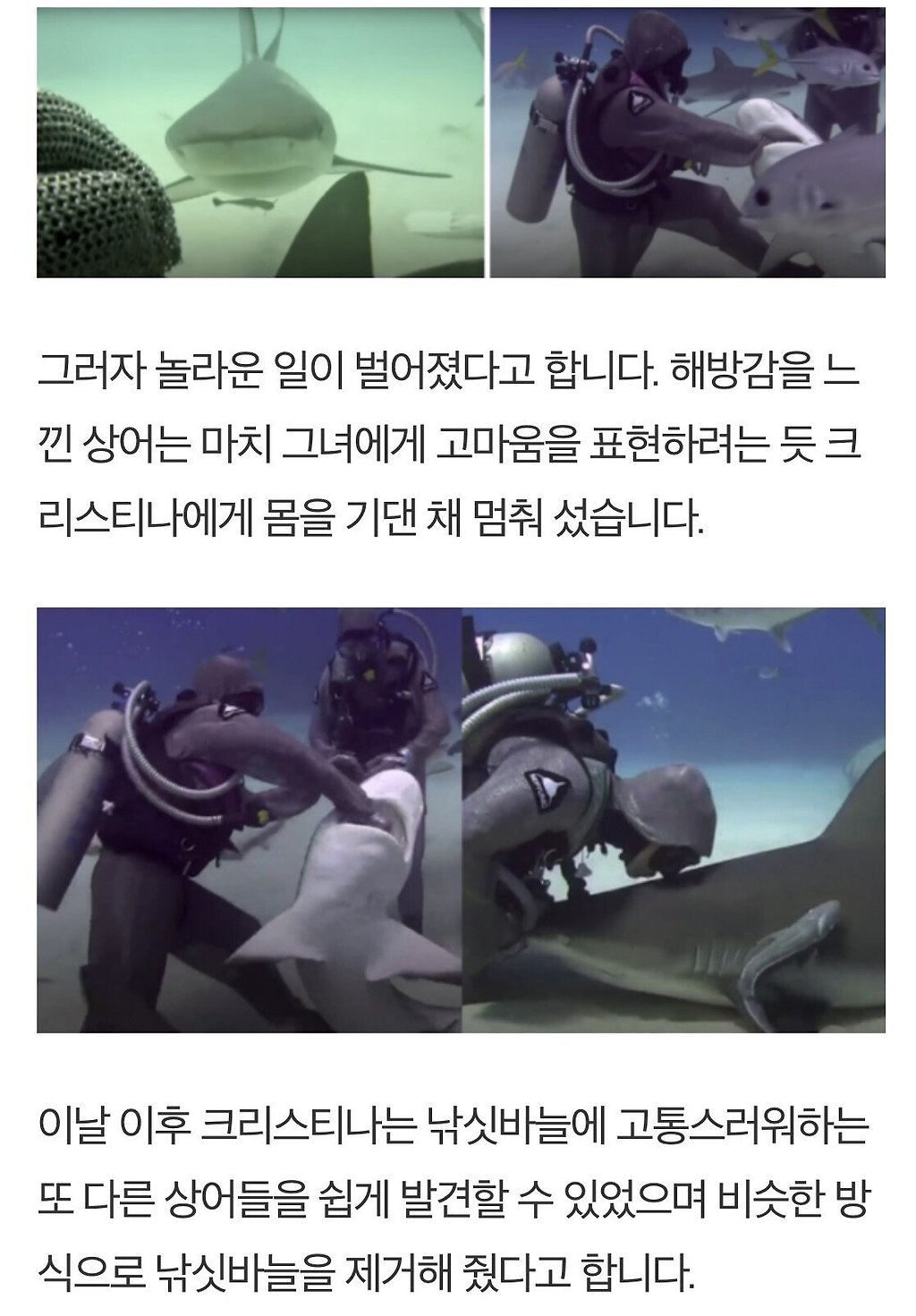  - 꾸르