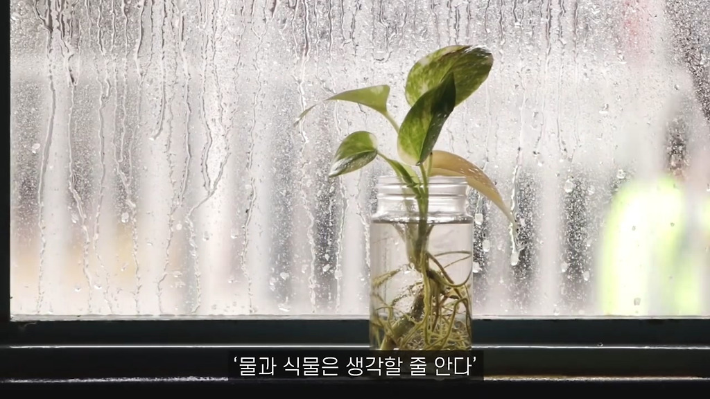  - 꾸르