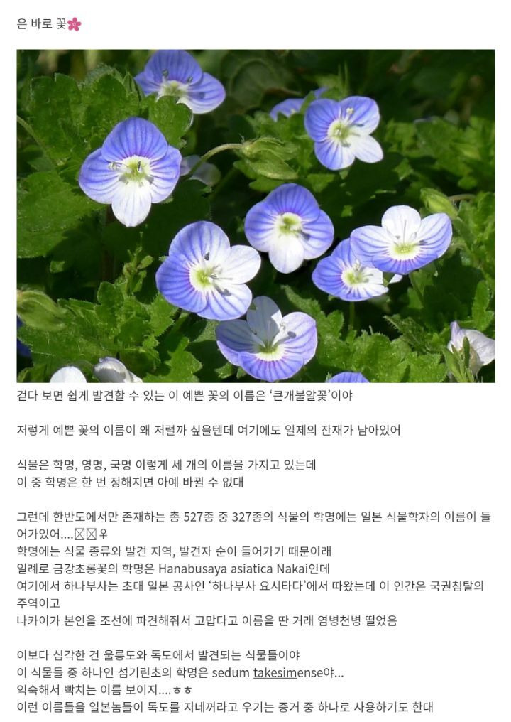 이런 것까지 일제 잔재가 있다고? 싶은 것 - 꾸르