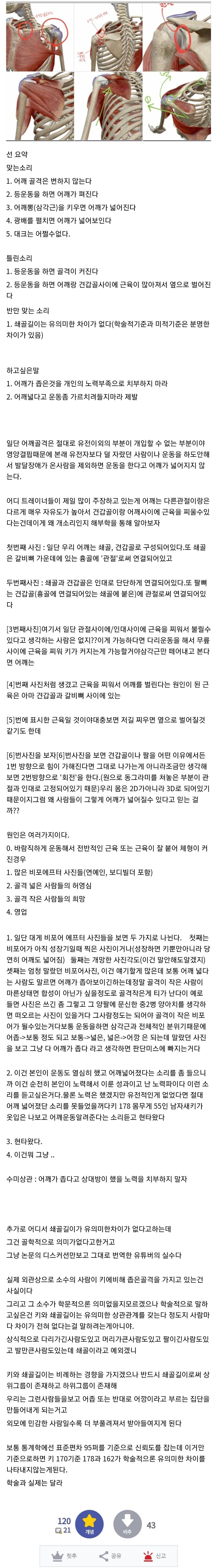 운동을 하면 어깨가 넓어질까 - 꾸르