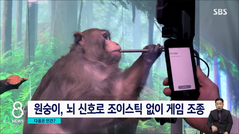  - 꾸르