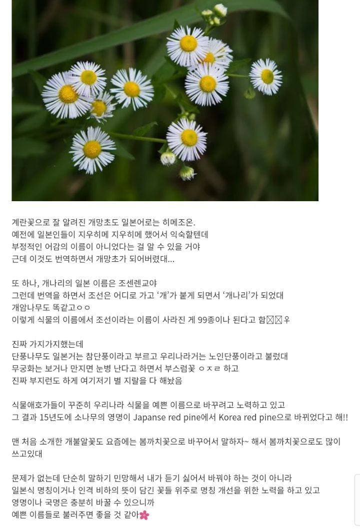  - 꾸르