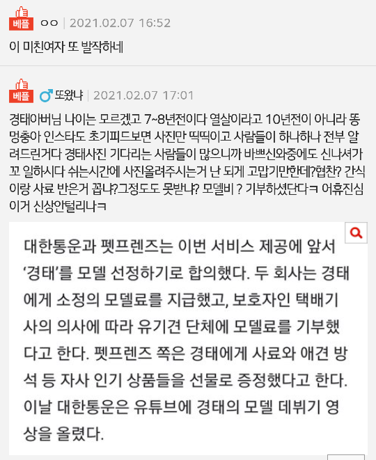 여전히 택배견 경태 주변을 서성이는 여자 - 꾸르