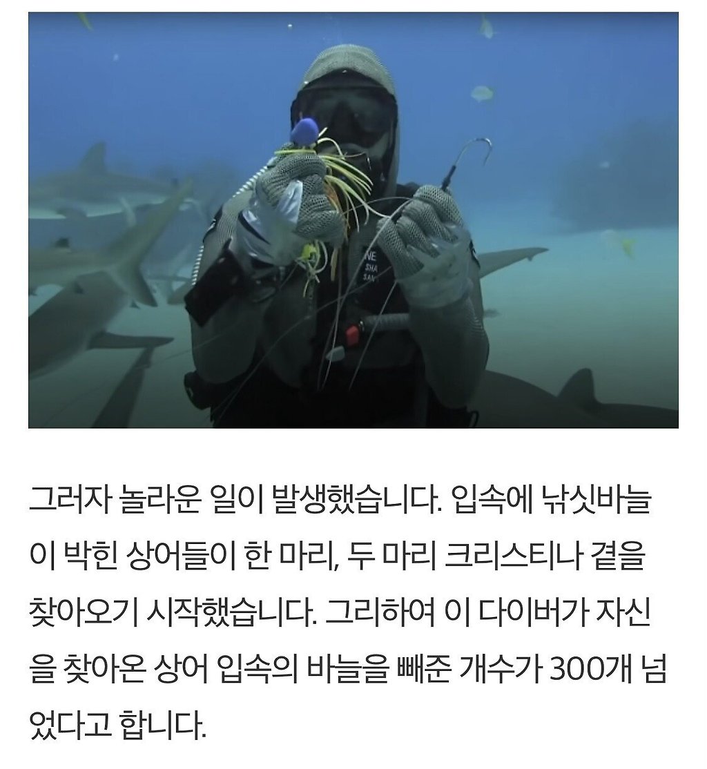  - 꾸르