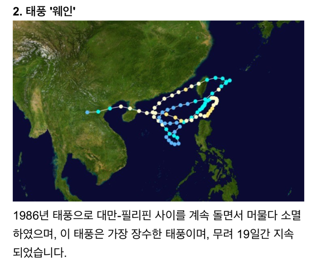 세계의 특이한 태풍