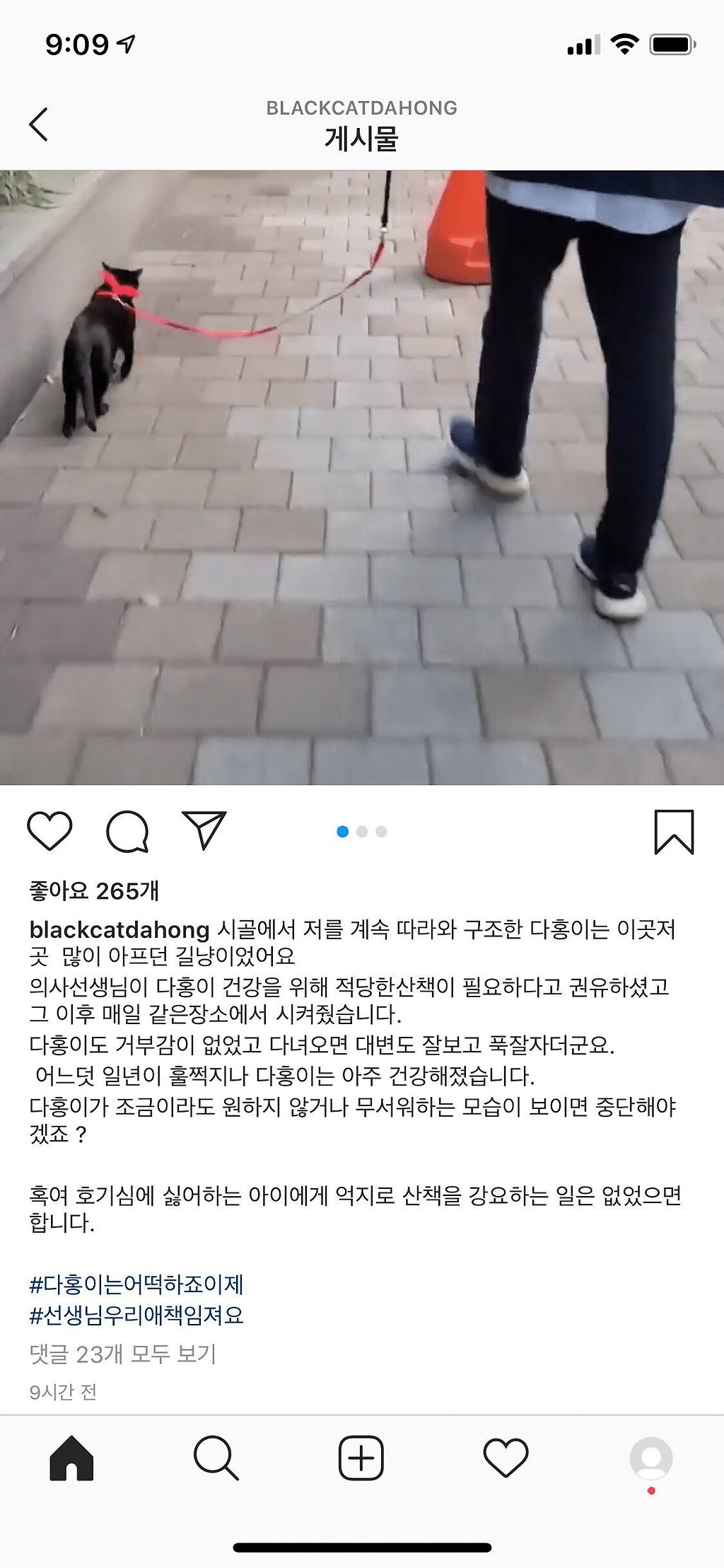 낚시터에서 유기된 고양이를 기르게된 박수홍 근황 - 뿅.뿅