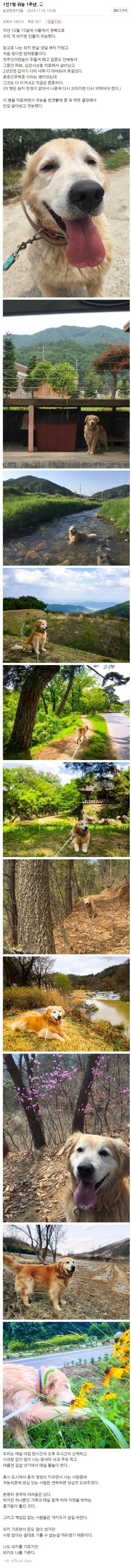 개를 데리고 귀농한 디시인 이야기 - 짤티비